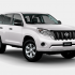 TOYOTA PRADO TX